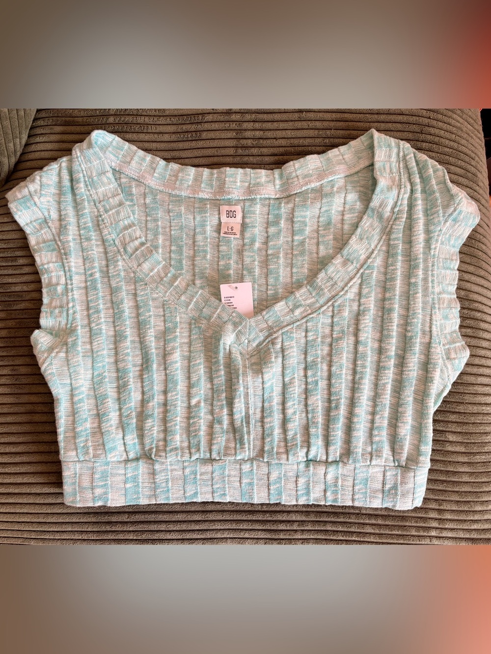 Urban Outfitters: BDG Light Blue and White Ribbed V-Neck Crop Sweater